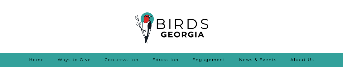 Birds Georgia